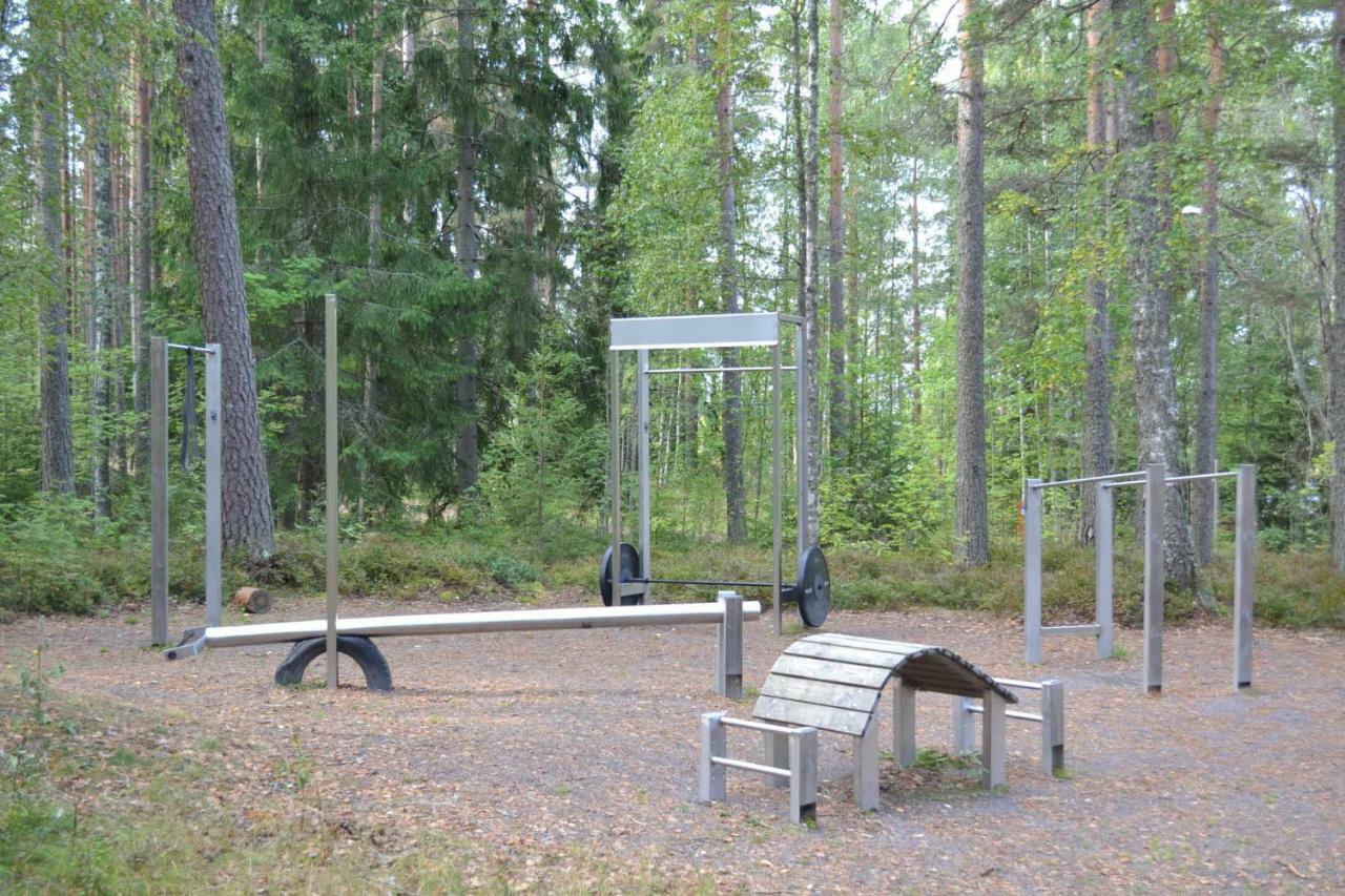 Saimaa Style Spa Chalet Virasoja Dış mekan fotoğraf